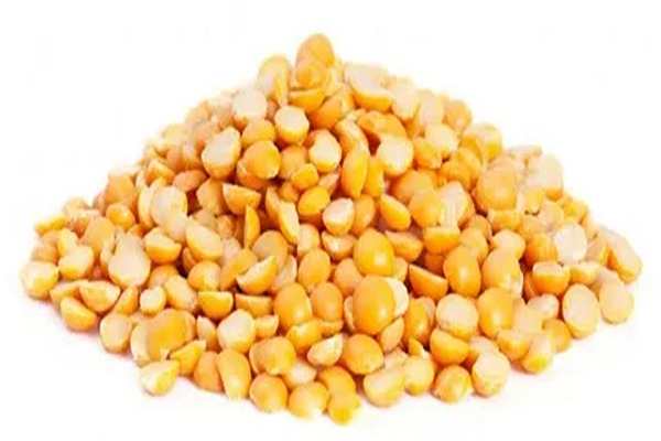 تصویر 3 از خرید و قیمت لپه تبریزی برتر آرتمیس + فروش عمده